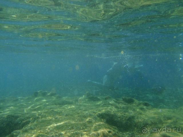 фото Villa Goesa