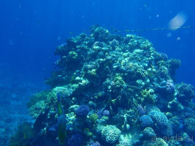 фото Villa Goesa