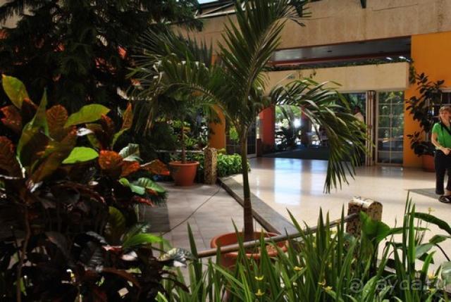 фото Le Duc De Praslin