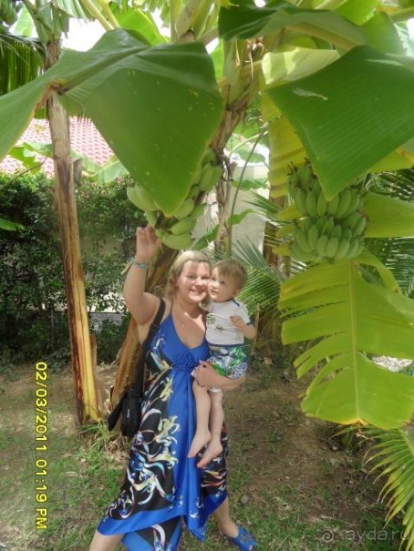 фото Diamond Bay Resort & SPA