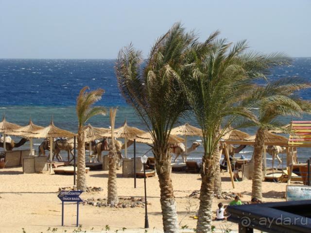 Спокойный отель на берегу моря и среди Синайских гор.