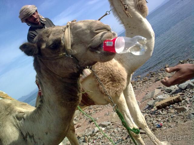 Спокойный отель на берегу моря и среди Синайских гор.