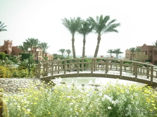 фото Palm Beach Resort