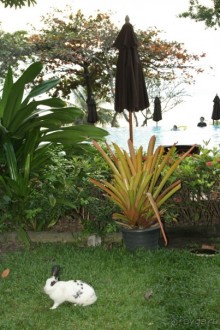 На территории ресторана