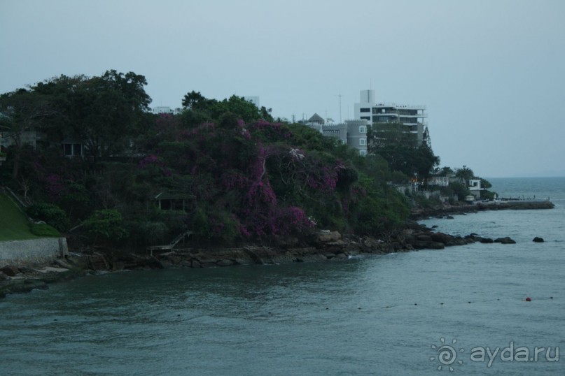 Ресторан. Вид на бухту