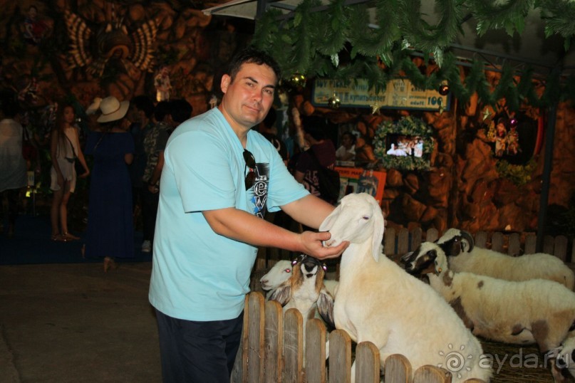 В ТРЦ Мимоза