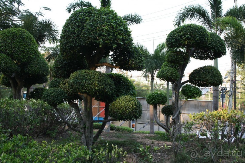 Паттайя в сторону Пратамнака