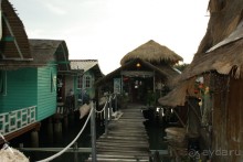 Из Сибири в "Вечное лето"