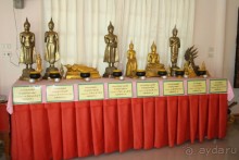 Из Сибири в "Вечное лето"