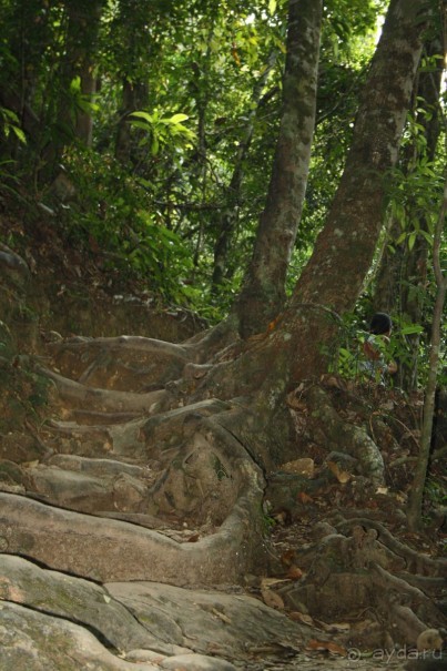 Из Сибири в "Вечное лето"