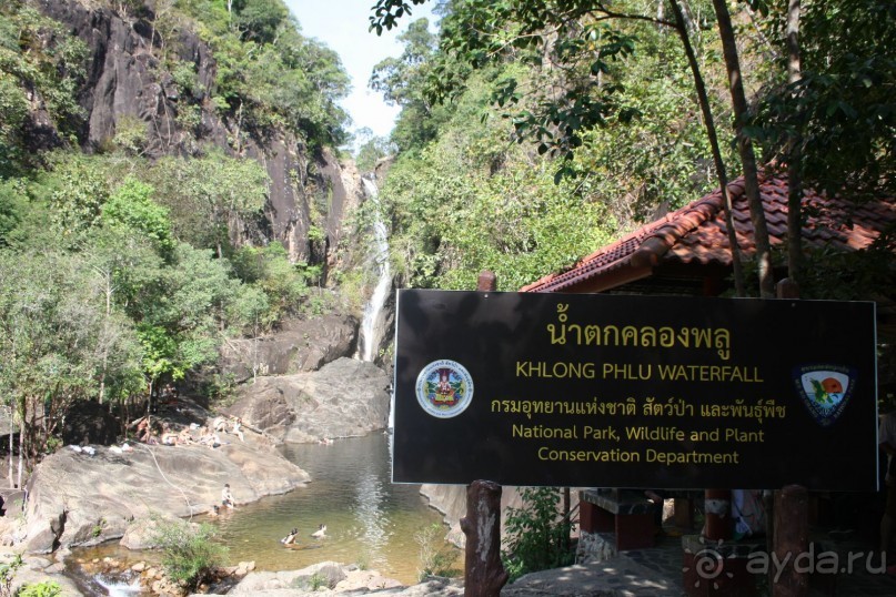 Из Сибири в "Вечное лето"