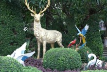 Из Сибири в "Вечное лето"