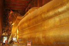 Из Сибири в "Вечное лето"