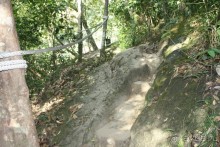 Из Сибири в "Вечное лето"