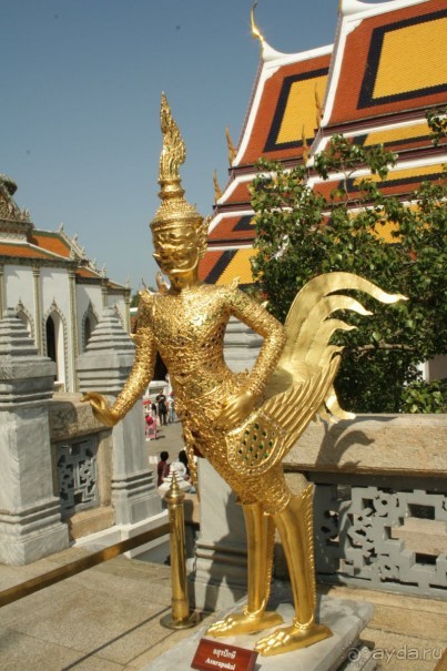 Из Сибири в "Вечное лето"