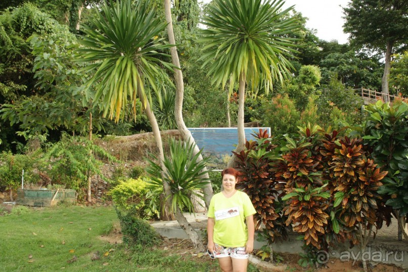 Из Сибири в "Вечное лето"