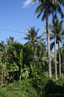 Из Сибири в "Вечное лето"
