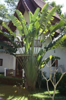 Из Сибири в "Вечное лето"