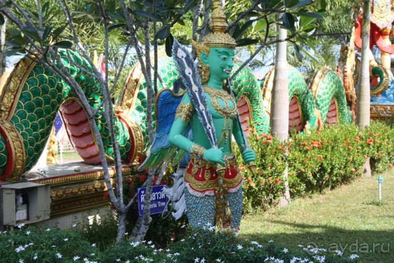 Из Сибири в "Вечное лето"