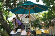 Из Сибири в "Вечное лето"