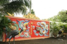 Из Сибири в "Вечное лето"