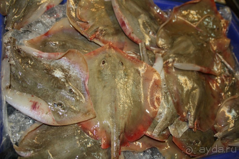 Из Сибири в "Вечное лето"