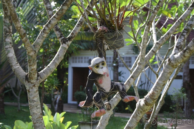 Из Сибири в "Вечное лето"