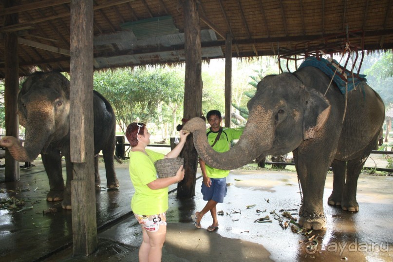 Из Сибири в "Вечное лето"