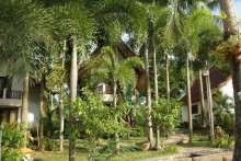 Из Сибири в "Вечное лето"