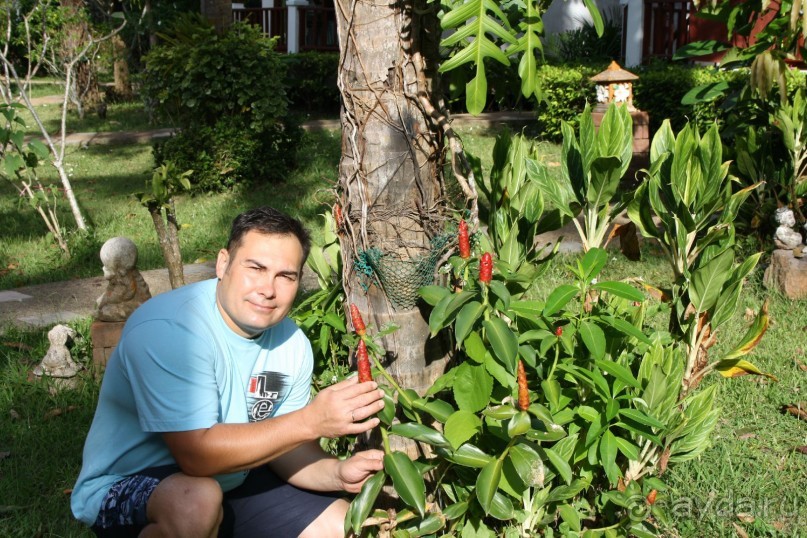 Из Сибири в "Вечное лето"