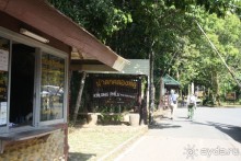 Из Сибири в "Вечное лето"