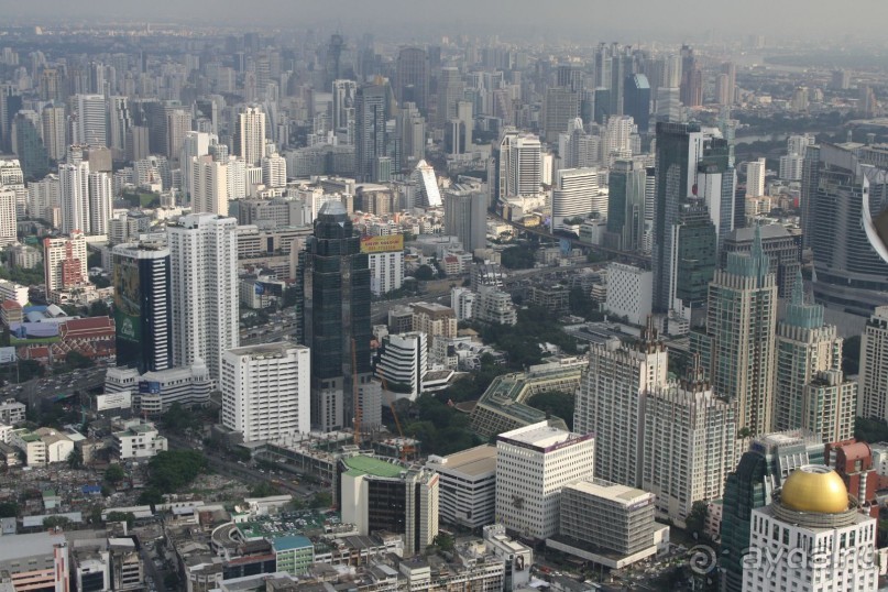 Из Сибири в "Вечное лето"