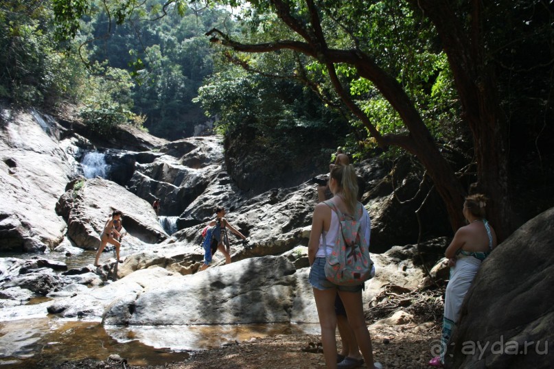 Из Сибири в "Вечное лето"