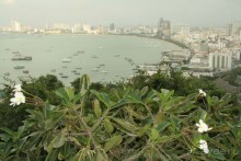 Из Сибири в "Вечное лето"