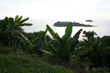 Из Сибири в "Вечное лето"