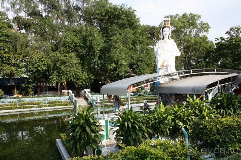 Из Сибири в "Вечное лето"