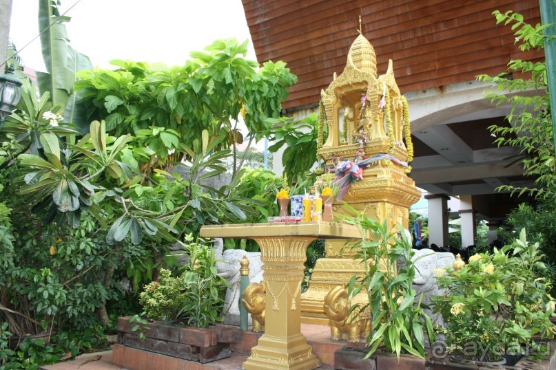 Из Сибири в "Вечное лето"