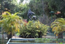 Из Сибири в "Вечное лето"