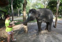 Из Сибири в "Вечное лето"