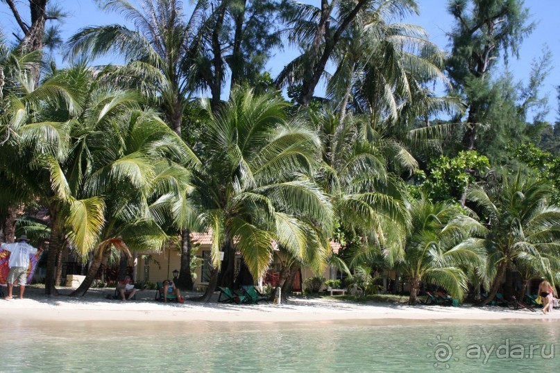 Из Сибири в "Вечное лето"