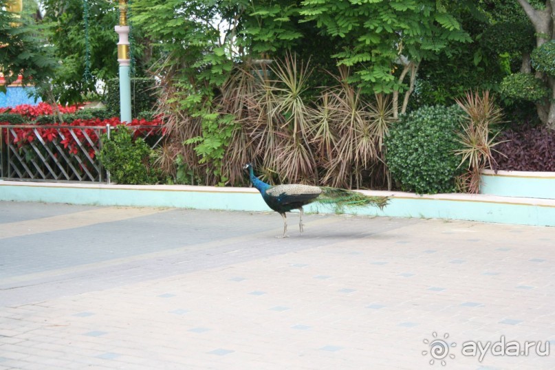 Из Сибири в "Вечное лето"