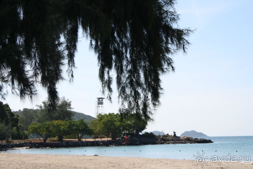 Из Сибири в "Вечное лето"