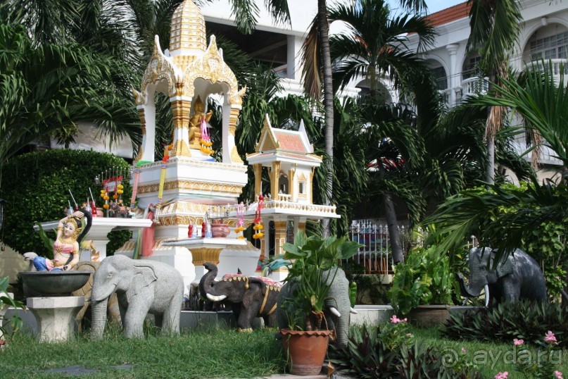 Из Сибири в "Вечное лето"