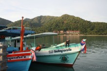 Из Сибири в "Вечное лето"