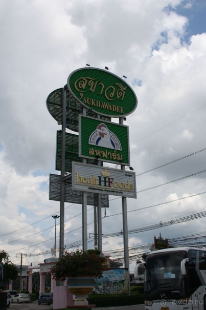 Из Сибири в "Вечное лето"