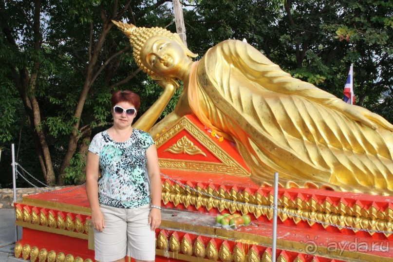 Из Сибири в "Вечное лето"