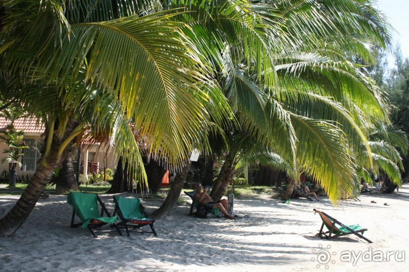 Из Сибири в "Вечное лето"