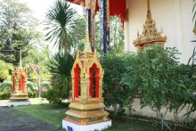 Из Сибири в "Вечное лето"