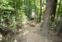 Из Сибири в "Вечное лето"