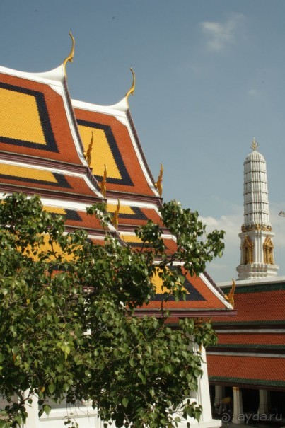 Из Сибири в "Вечное лето"